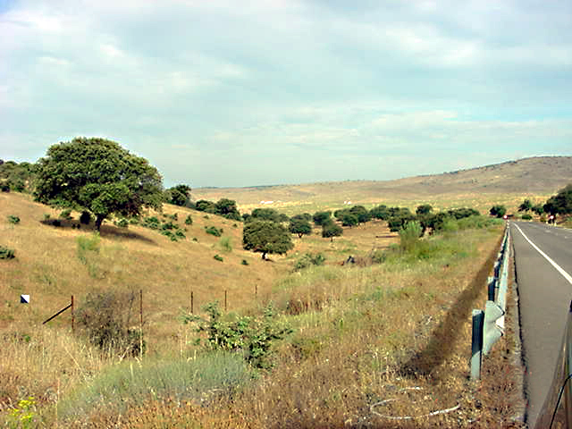 Medio ambiente